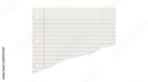 Ripped piece of lined binder paper isolated on transparent background