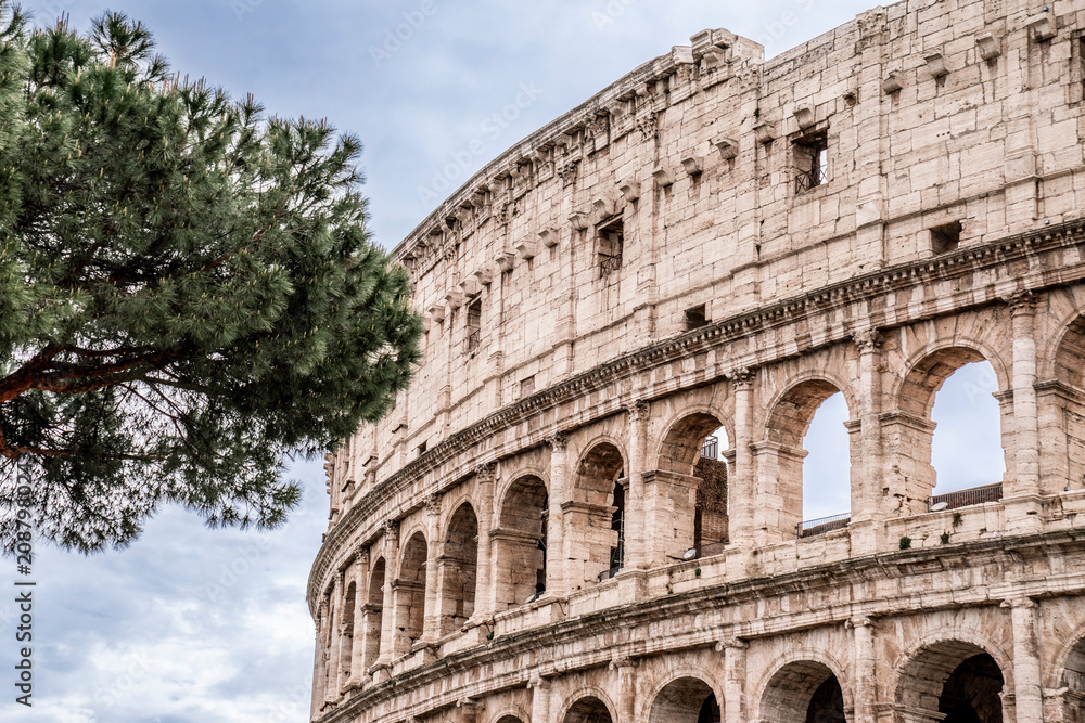 Obraz premium Partial view of the Colosseum with stone pine in foreground under a cloudy sky, ancient Roman amphitheater exterior in Rome, Italy