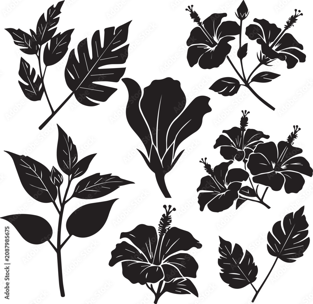 Obraz premium Tropical hibiscus flower silhouettes, black floral vector set with monstera leaves, exotic botanical garden elements for summer wedding invitations