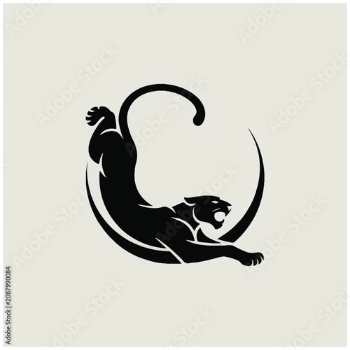 Photography Black Panther Silhouette in Motion Running.