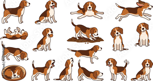 Beagle Dog and Cute Puppy Vector Set with Various Poses Including Running, Sleeping, Barking, and Digging for Pet Care, Veterinary, and Animal Lover Designs