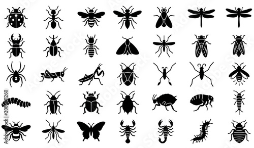 Insects Glyph Icon Set Beetles Bugs Bees Spiders Vector SVG