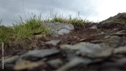 Close-up from the ground of a hiking trail with rocks and grass moving in the breeze, the grey clouds in the sky forming the background.
