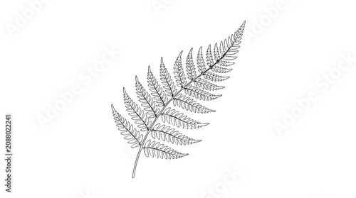 Minimalist fern leaf vector illustration, black line art botanical frond, elegant tropical foliage element for organic branding and nature design