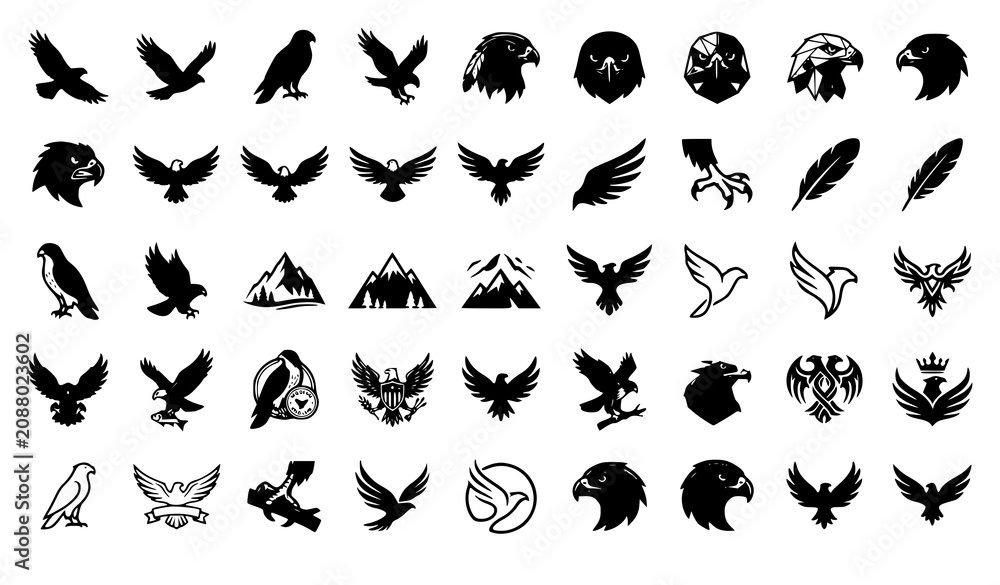 Fototapeta premium Hawk Silhouette and Bird of Prey Vector Icon Collection