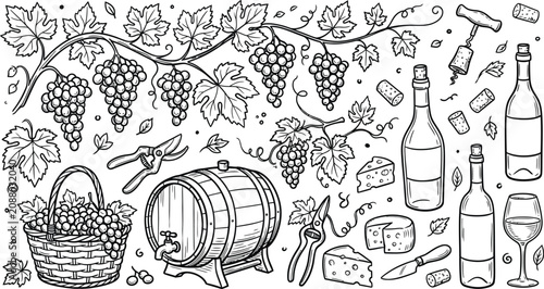 Grapevine harvest elements with barrel cheese and wine bottles against a white background hand-drawn illustration