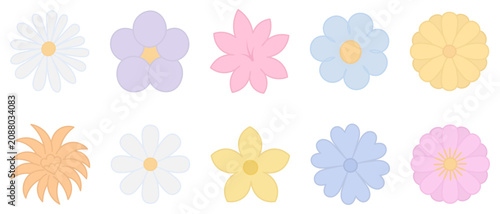 Set of flower inflorescences. Color vector illustration. Chamomile, violet, lily, gerbera, lush bud, chrysanthemum, cornflower, narcissus. Outline on an isolated white background. Flat style. 