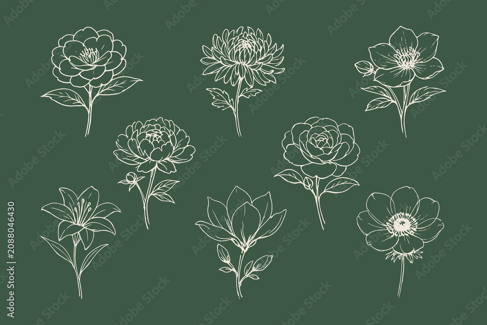 Obraz premium Elegant floral line art collection vector