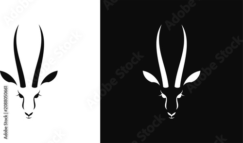Foto Antelope springbok vector