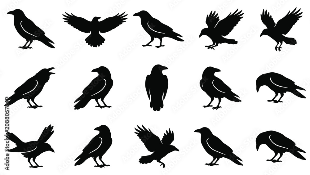 Fototapeta premium Halloween vector bundle 13 crow and raven silhouettes for spooky designs