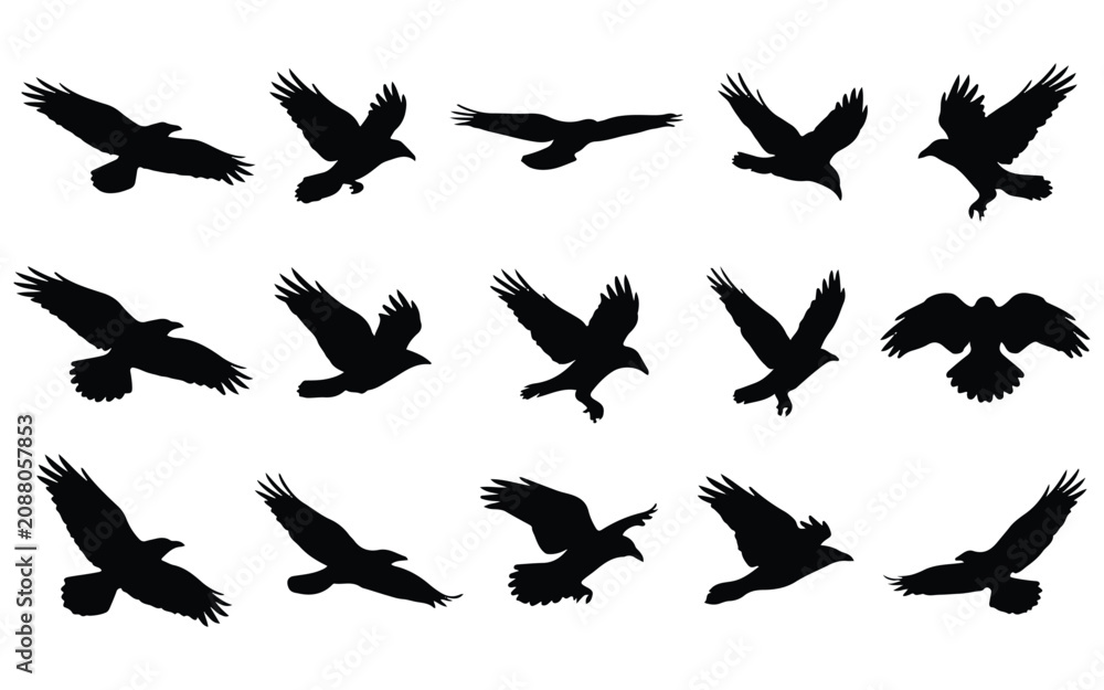 Fototapeta premium Halloween vector bundle 15 flying bird silhouettes for spooky designs