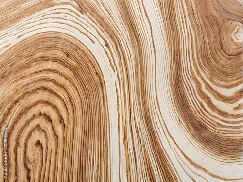 Macro Wood Texture with Abstract Concentric Annual Rings and Natural Cracks