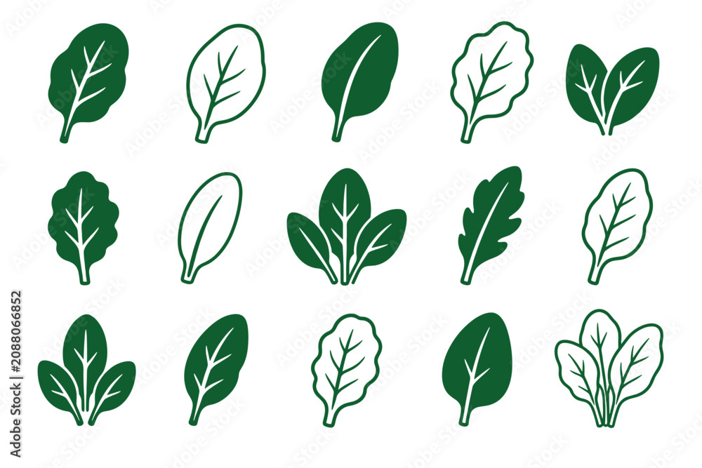 Obraz premium Green spinach leaves vector illustration set featuring various simple line art and solid silhouette icons of fresh organic salad greens