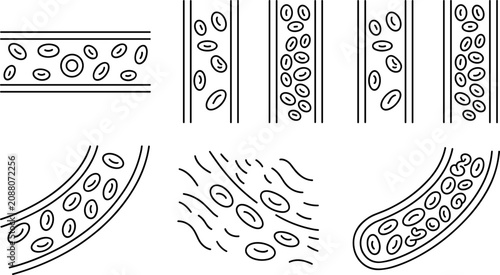 Blood Vessel and Circulatory System Line Icon Set with Red Blood Cells Collection