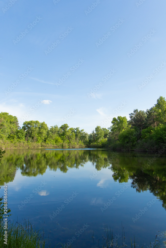 Obraz premium Bright blue sky reflects on calm water of a lake surrounded by green trees in the afternoon