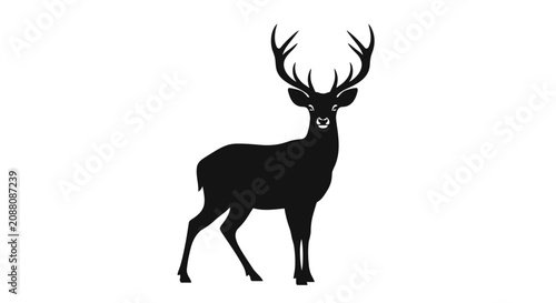 Foto Deer Silhouette with Antlers.