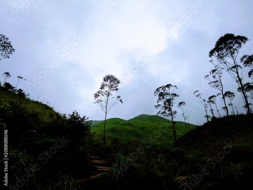 Foto Dark forest landscape with trees and hills under cloudy sky