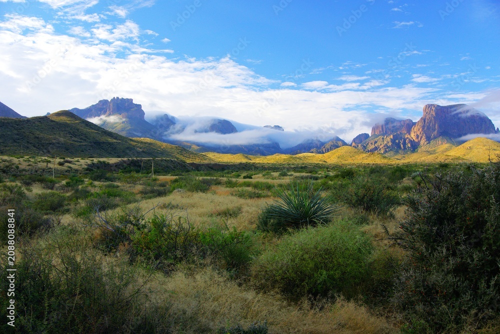 Fototapeta premium Dramatic scenery and fauna at Big Bend National Park Texas