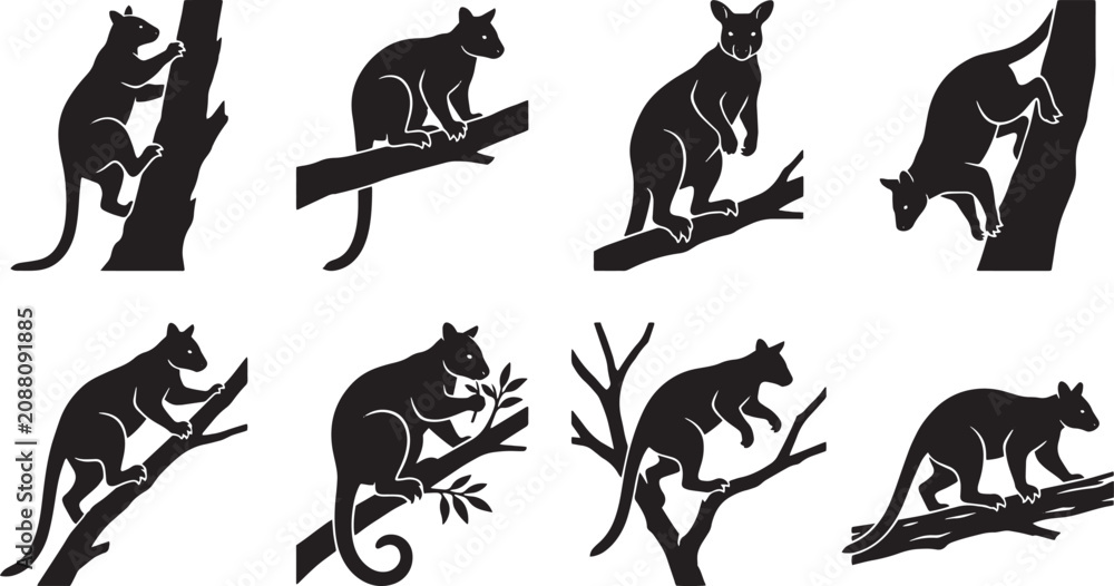 Obraz premium Tree kangaroo silhouette set, Australian marsupial climbing branches vector icons, black wild animal silhouettes, 8 wildlife elements isolated on Transparent Background