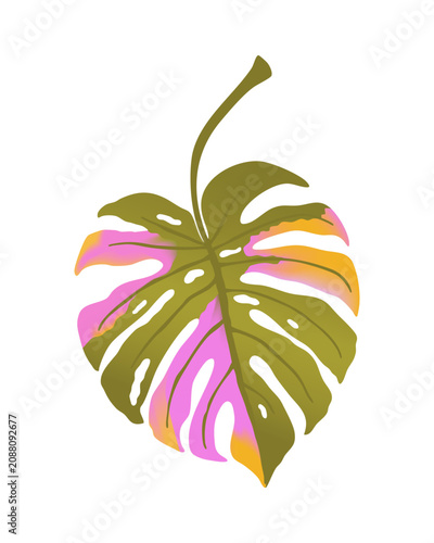Monstera leaf with different pink and green flowers isolated on white background. Trendy vector illustration
