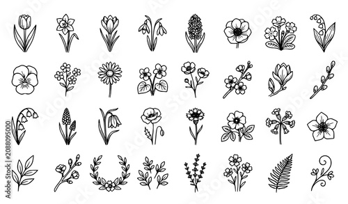 Bild auf Leinwand Hand sketched spring botanical flower icon collection with tulips pansies daffod