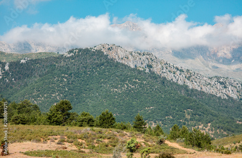 Green mountain peaks rising through white clouds