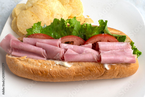 Картината върху платно ham sub  with served with a side of chips