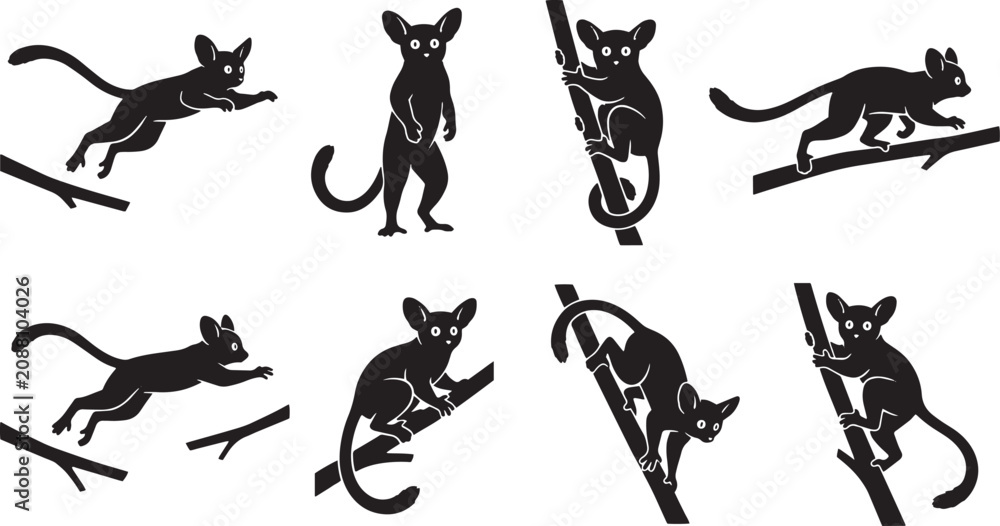 Obraz premium Bushbaby silhouette vector collection, 8 galago primate icons in various poses, black nocturnal animal shapes for wildlife design isolated on Transparent Background