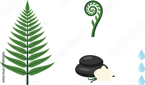 Canvas Print Tropical fern botanical and zen spa elements vector set with green fern frond ko