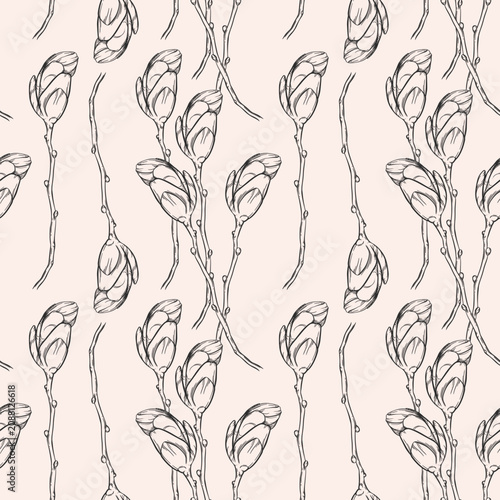 Fotografi Vector magnolias buds linear seamless pattern