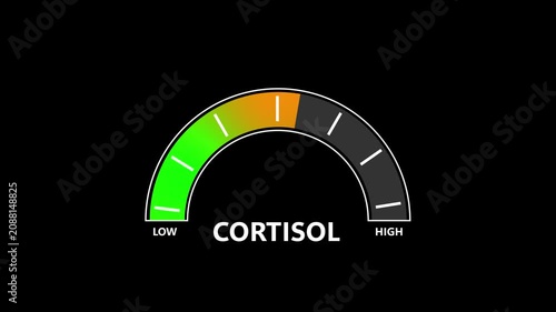 Gauge indicator animation displays healthy hormone diagnostic metrics. Medical laboratory analysis tools implement a gauge indicator animation dashboard. Accurate gauge indicator animation screen view