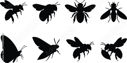 Foto Flying Insect Silhouette Collection Featuring Bees Butterflies Moths and Wasps I