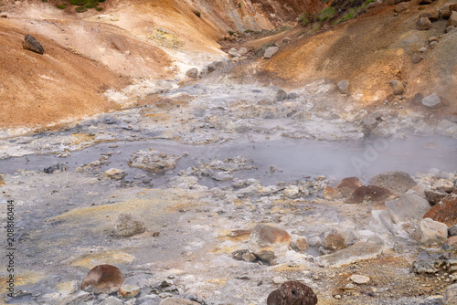 Konstfotografi Steaming hot springs and sulfur-crusted boulders in an active geothermal field,