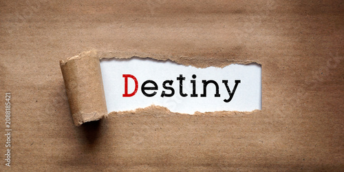 Quadro su tela Destiny - torn strip of brown kraft paper