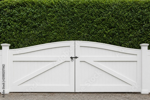 Schilderij op canvas White garden gate in front of a tall, dense privet hedge.
