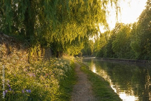 Принти на полотні Ancient canal towpath lined with wildflowers and willows under golden hour light