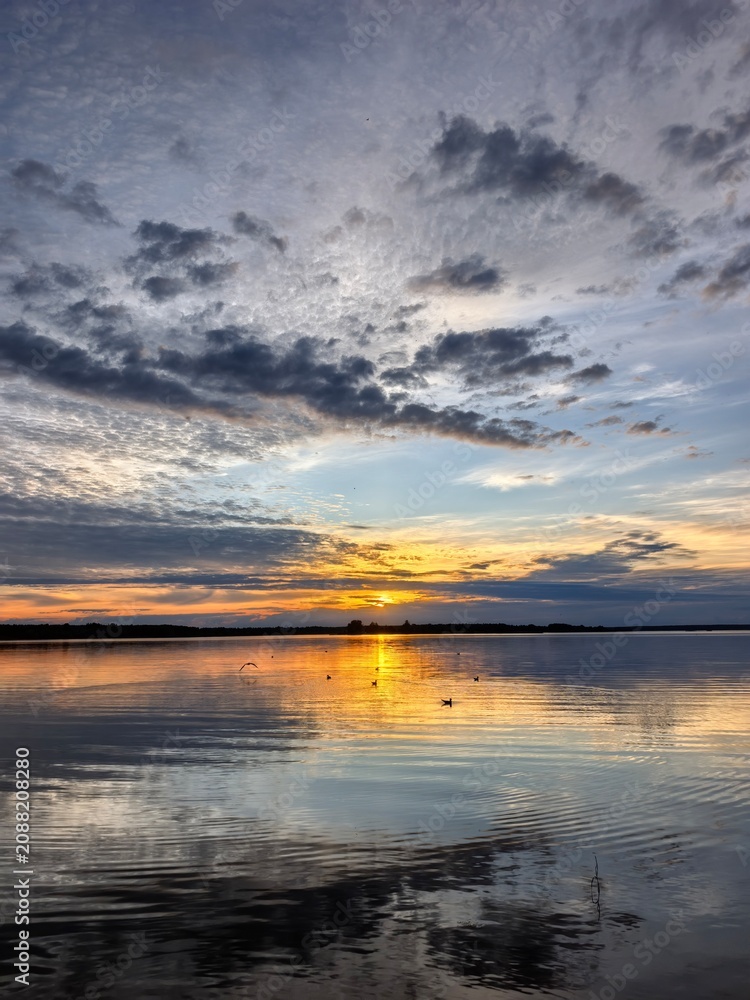 Obraz premium Vertical wide shot of a golden sunset over a calm lake with bird silhouettes on the water surface under dramatic cloudy sky.