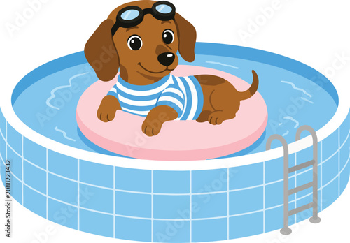 Cute dachshund dog relaxing in a blue inflatable swimming pool with dachshund swimming inflatable
