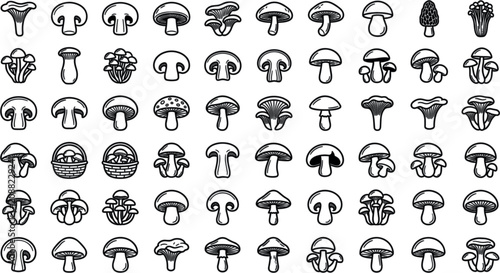 Foto Mushroom and Edible Fungi Line Icon Set Featuring Champignon Shiitake Chanterell