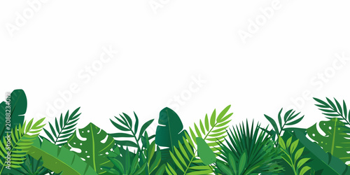 Tropical Foliage Border A Vector Illustration With White Background