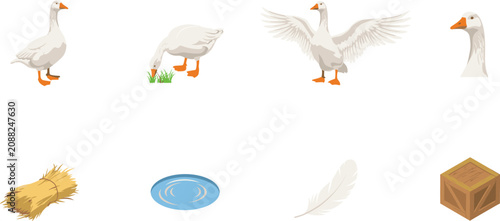 Foto White Domestic Goose Vector Element Set Featuring Birds Standing Pecking Grass F