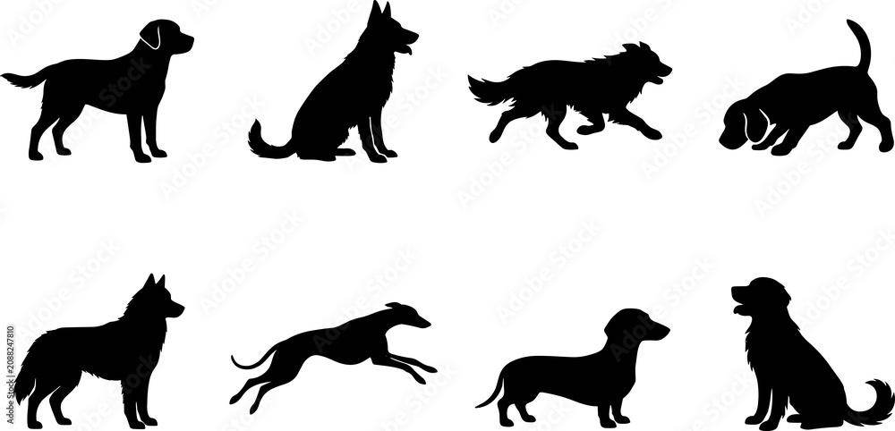 Obraz premium Black dog silhouette collection featuring multiple breeds varied postures canine vector design resources