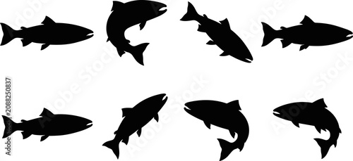 Black fish silhouette collection featuring trout and salmon species in varied swimming poses for aquatic vector design