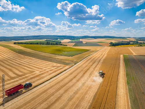 Combine harvester working on golden wheat field in Trbousany