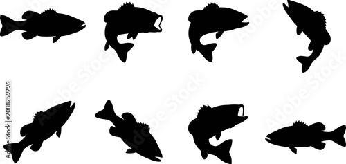 Foto Collection of black fish silhouette illustrations showing bass species in multip