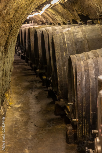 Old wine barrels aging inside Znojmo cellar