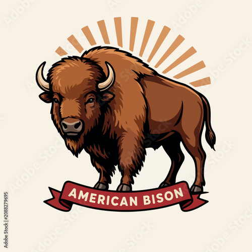 American bison vector