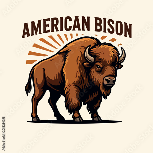 American bison vector