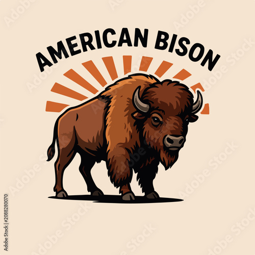 American bison vector