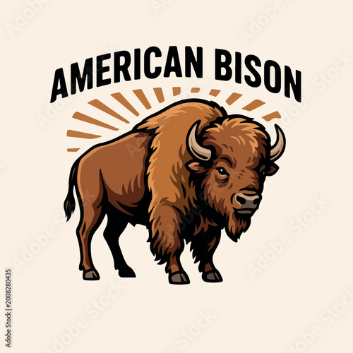 American bison vector